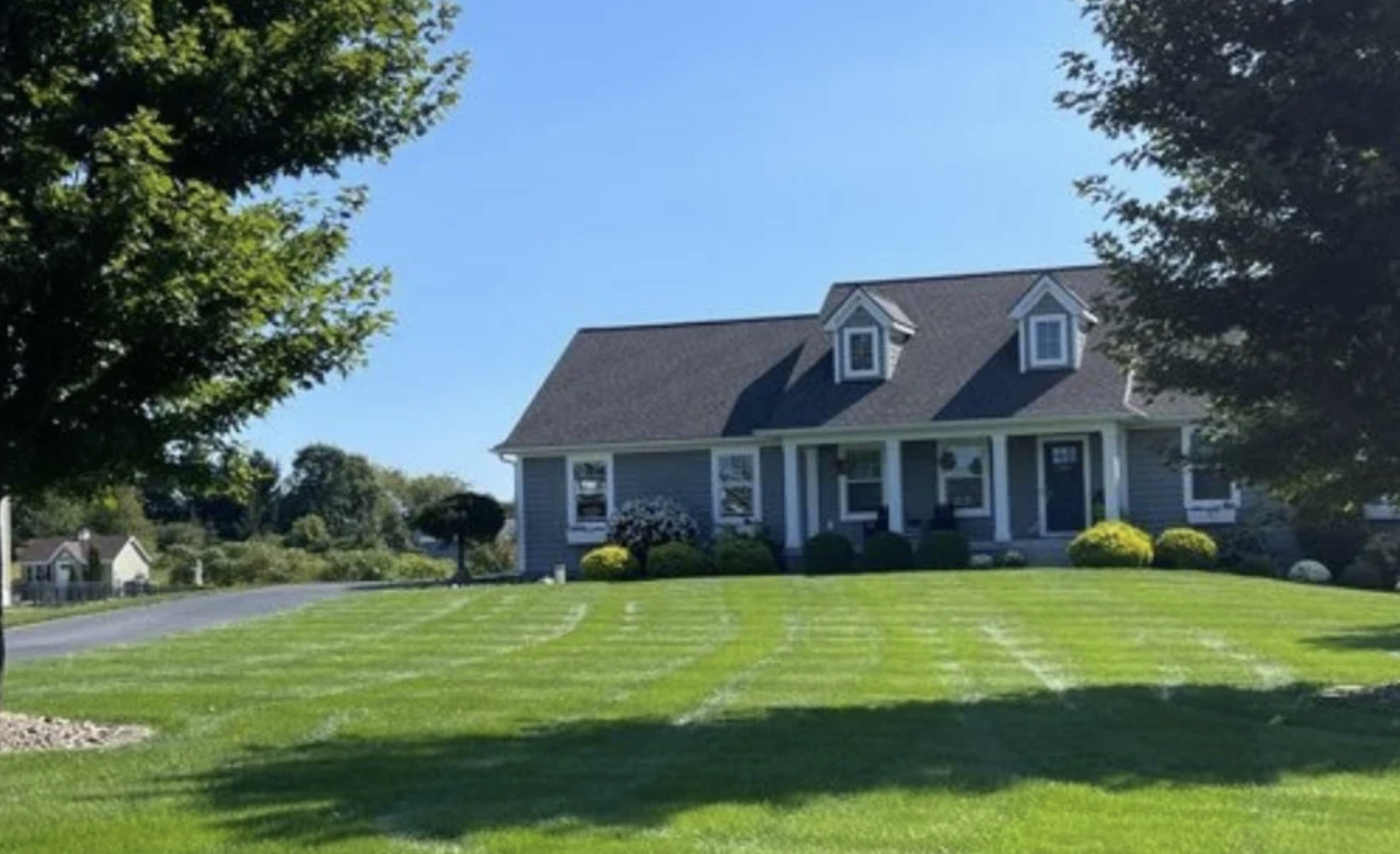 Professional pest control service